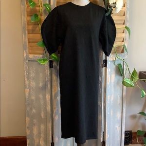 Zara Collection black bubble sleeve midi dress🦜